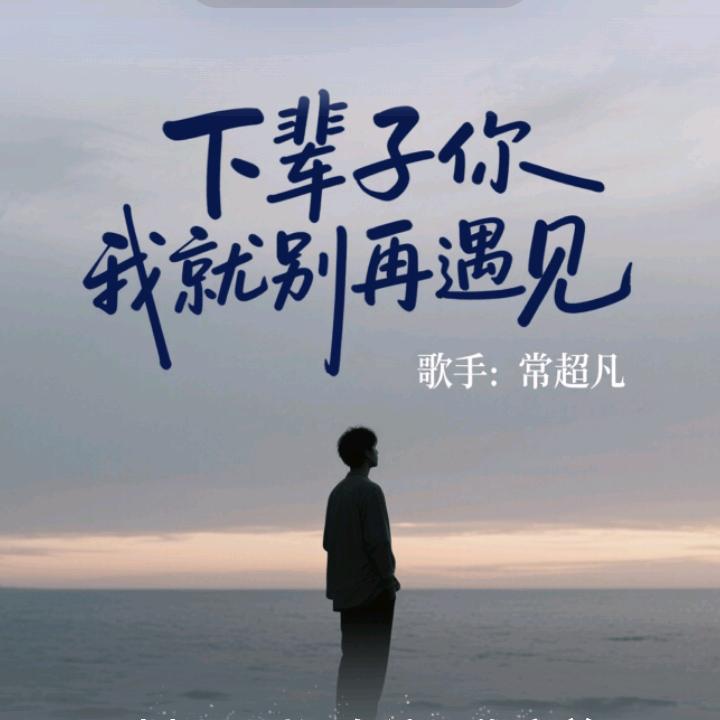 下辈子别在遇见