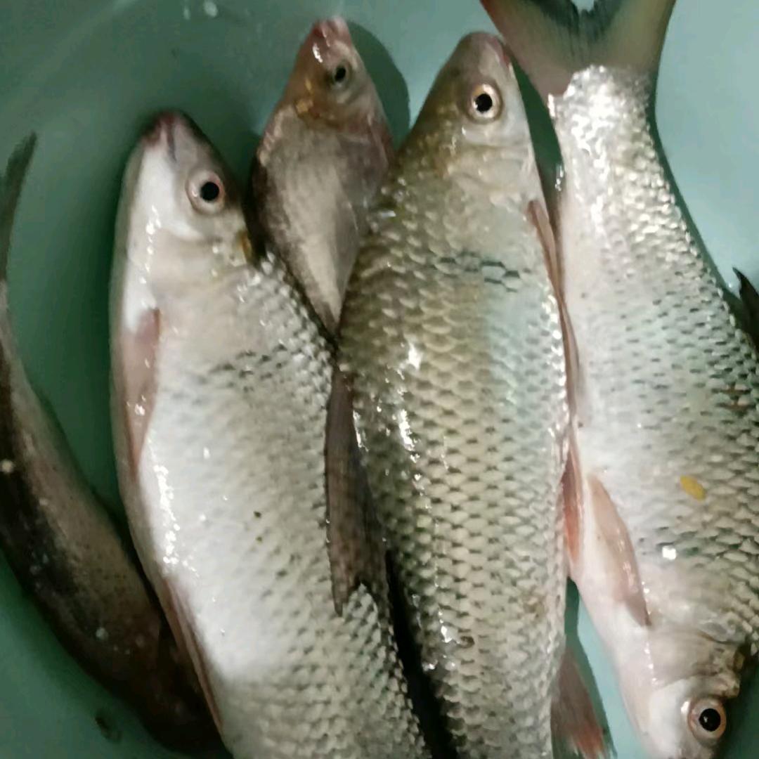 一生何求