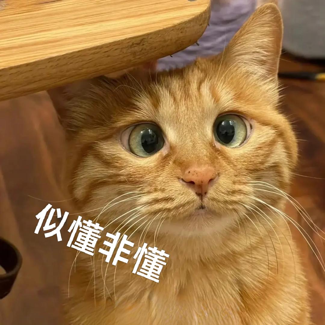 ✨福蝶✨