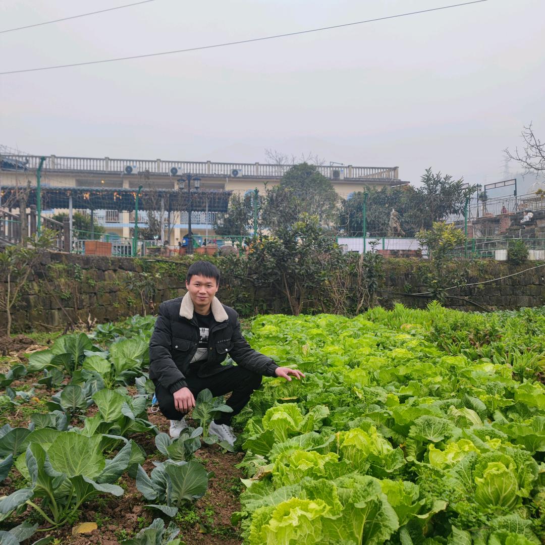 城墙土土🛑🇨🇳