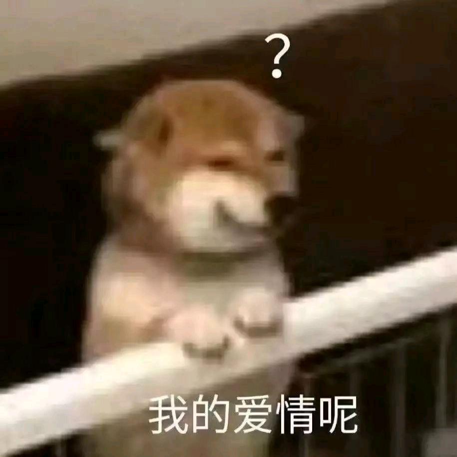 🙉🙉🙉