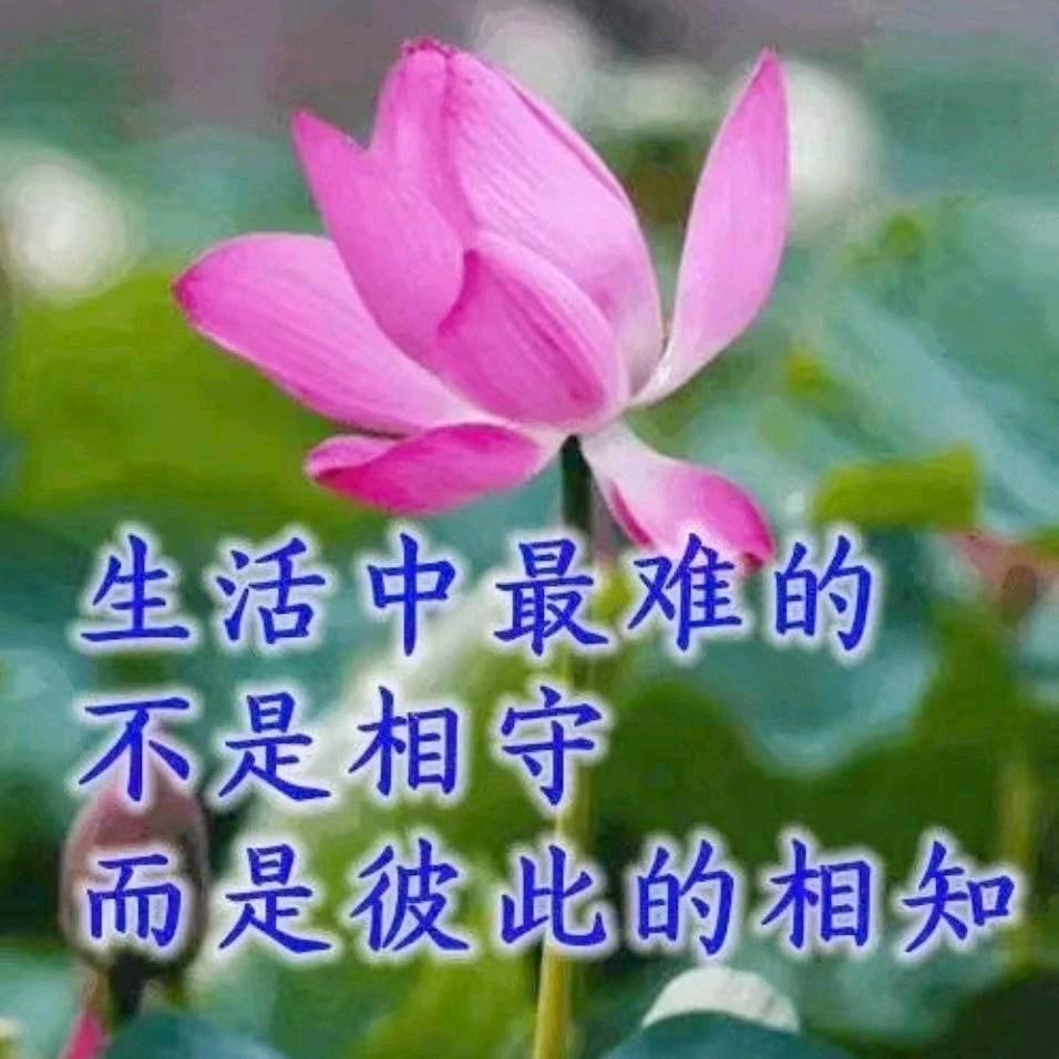 回到从前