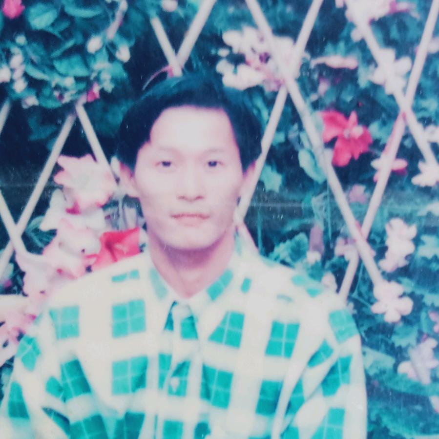 桃花依旧笑春风