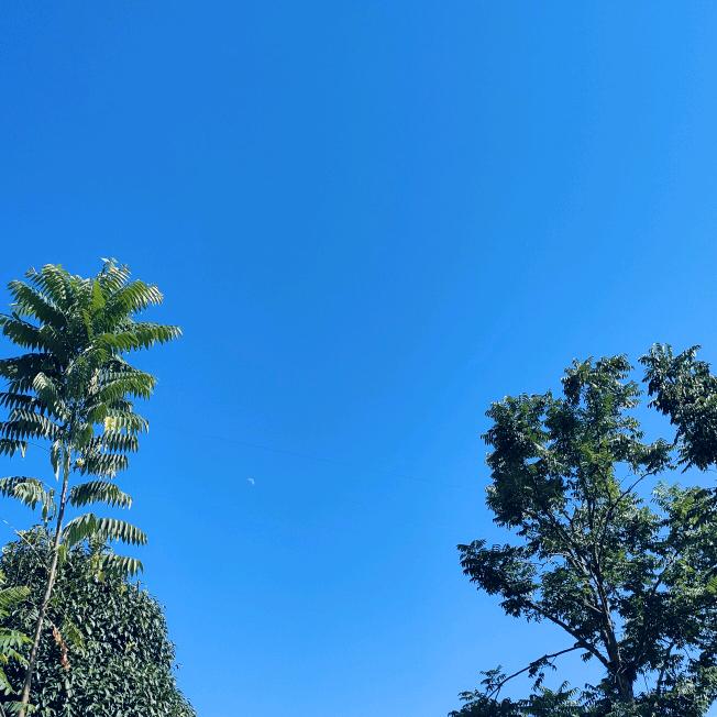 @ ღ᭄ꫛ聽説ꦿ糖এۣۖิ狠甜