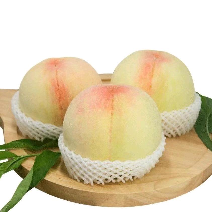 阳山水蜜桃园国贵