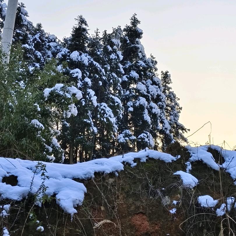 来自的农村小哥哥