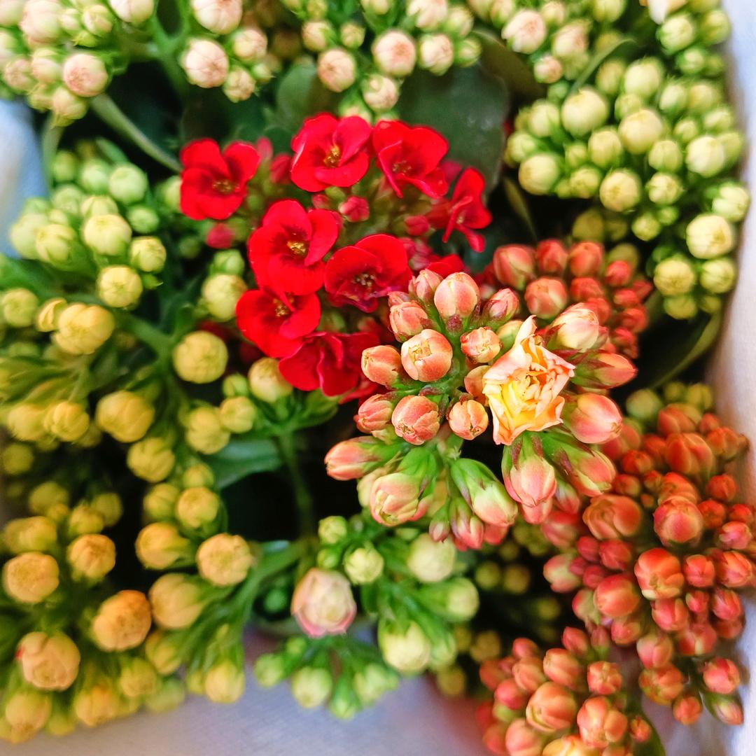 。。。。。。。