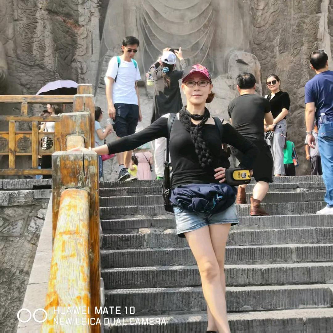 菲姐和猫孩子救助小院！