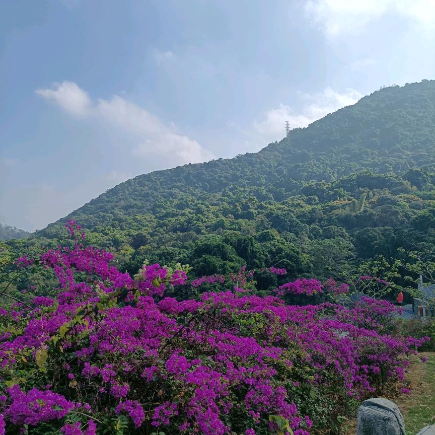 春暖花开😘