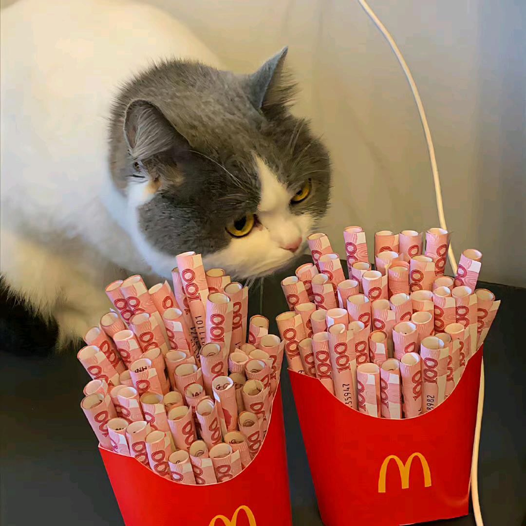 胖妞