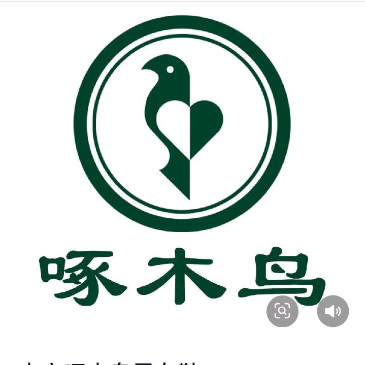 啄木鸟.女鞋