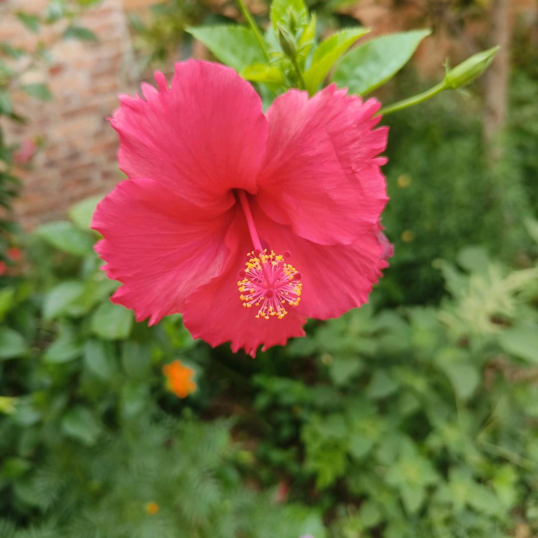 旺旺 不锈钢  门窗  吊顶