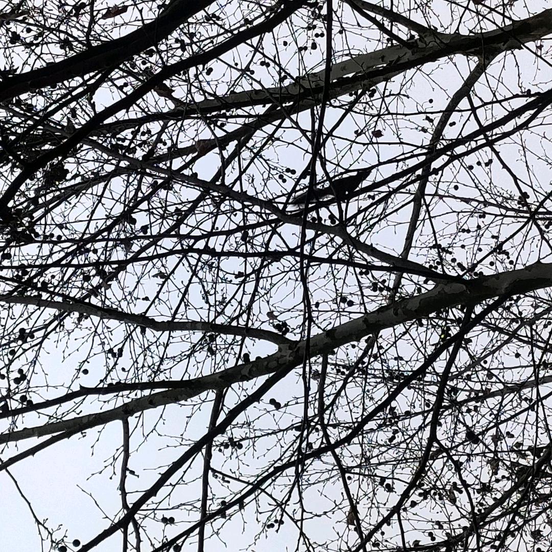 香干炒肉大王（祝福语是🐷）