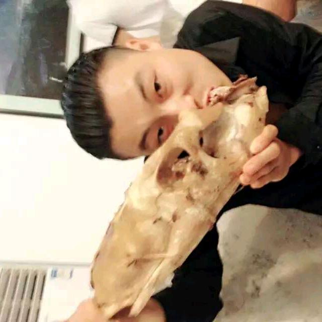 逍遥勇（种公团队)回收小狗