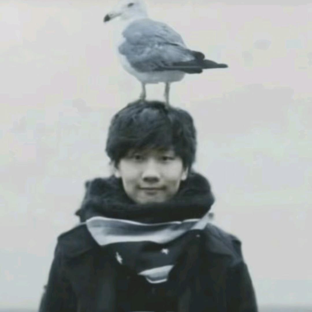 哪里哇ʔ•̫͡•ʕ🎧