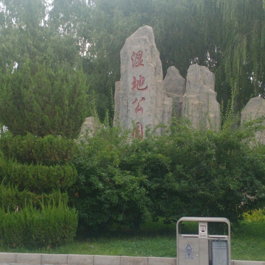 海底的石头