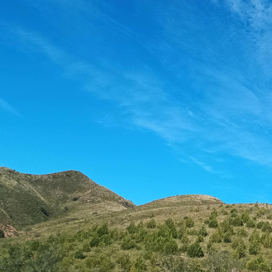 🌈凤凰涅槃☀️