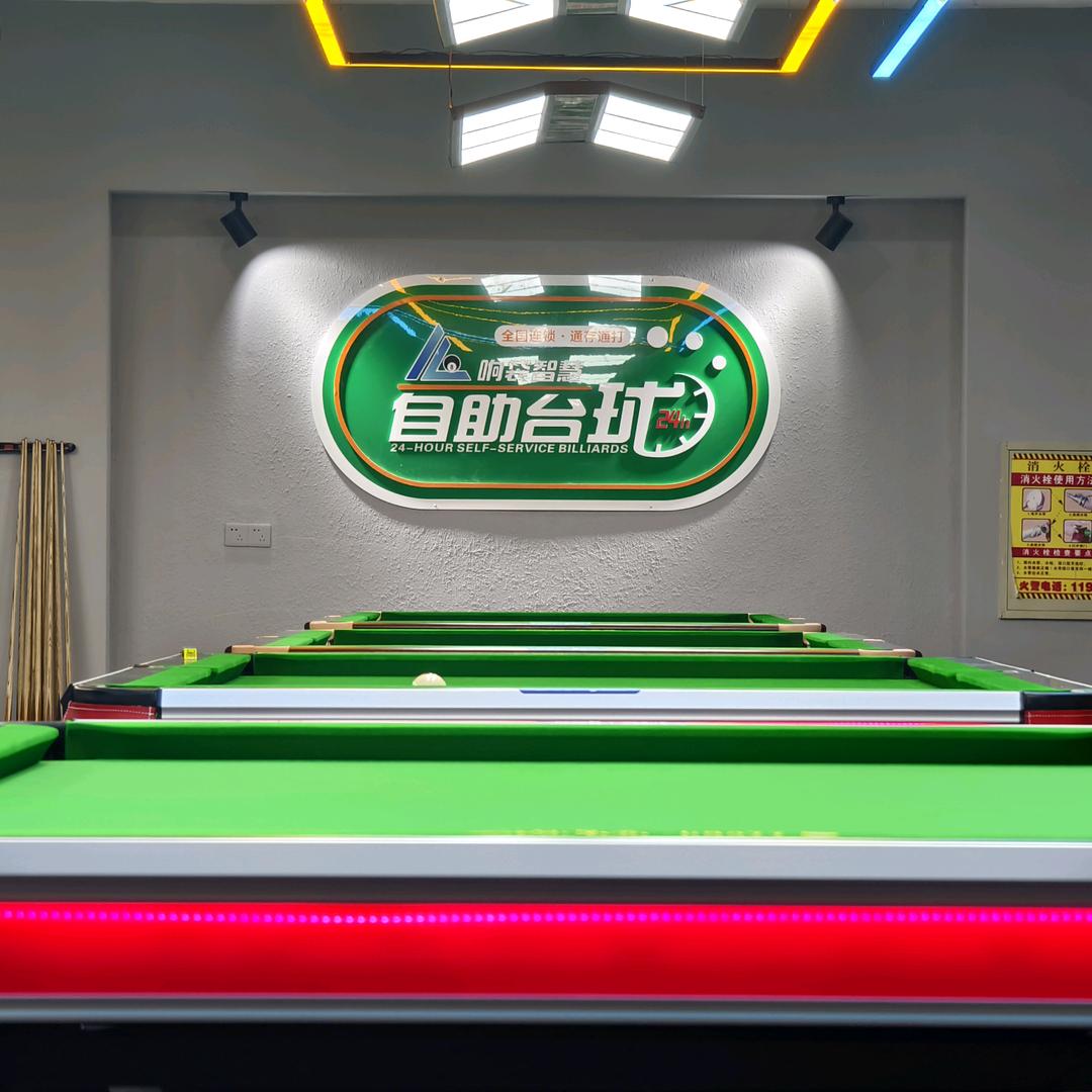 响袋台球（金凤花园店）