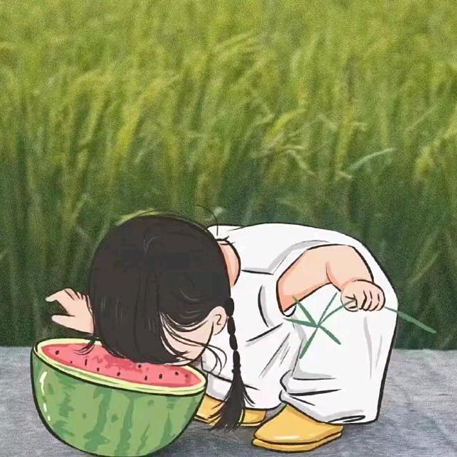 肉肉肉包