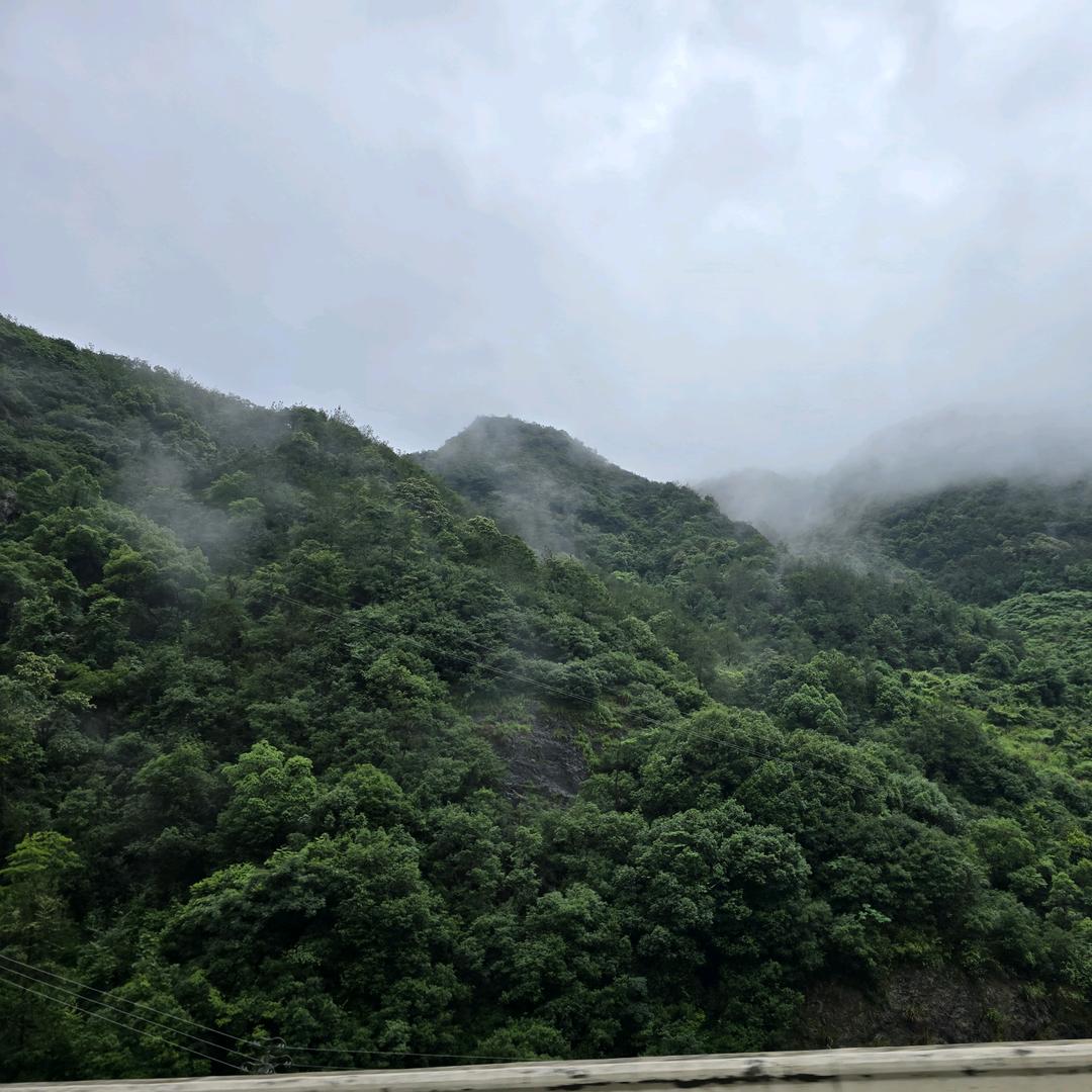 刘飞
