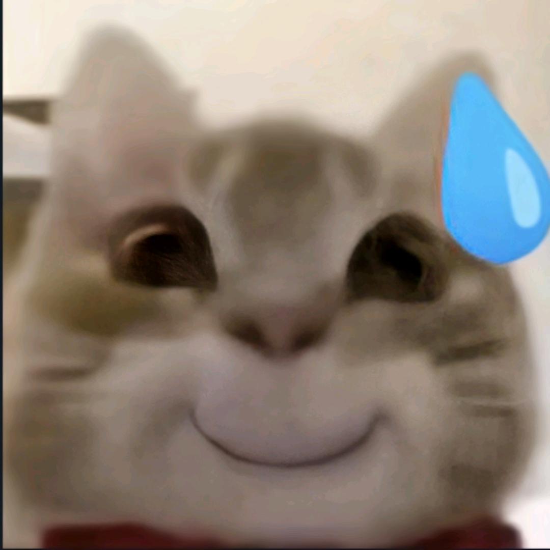 招财猫～