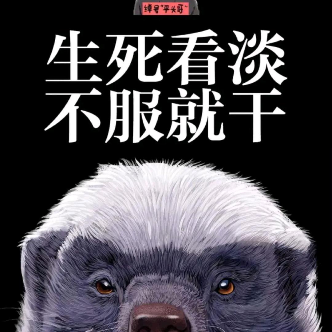 十字花下（华）