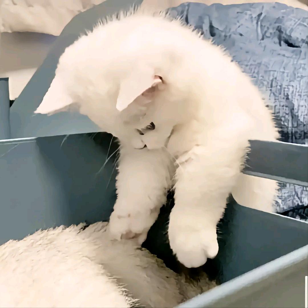 我还没睡醒