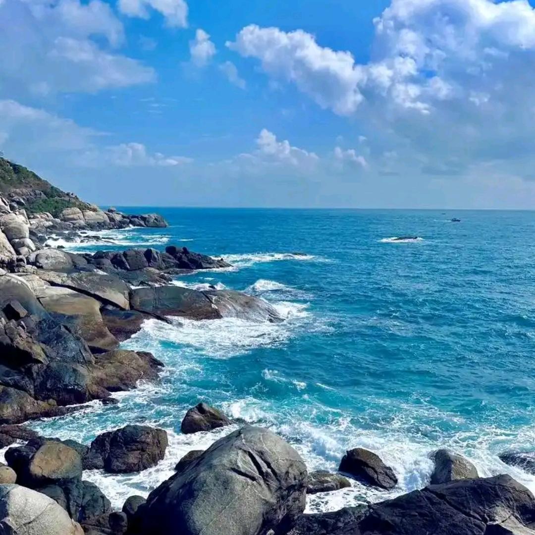 乘风破浪。头像