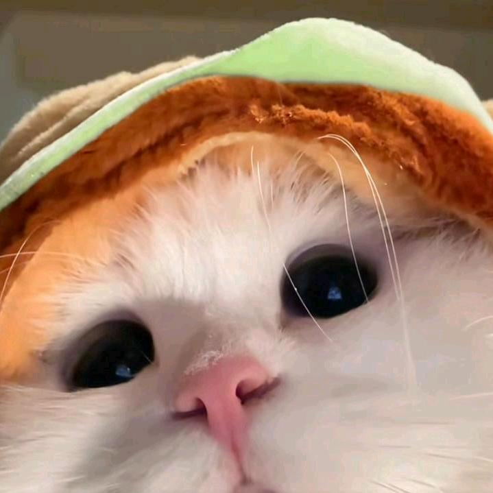 柏旧若