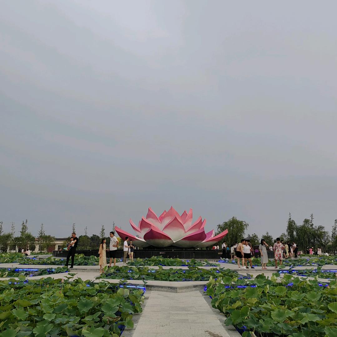 好运来《心情》