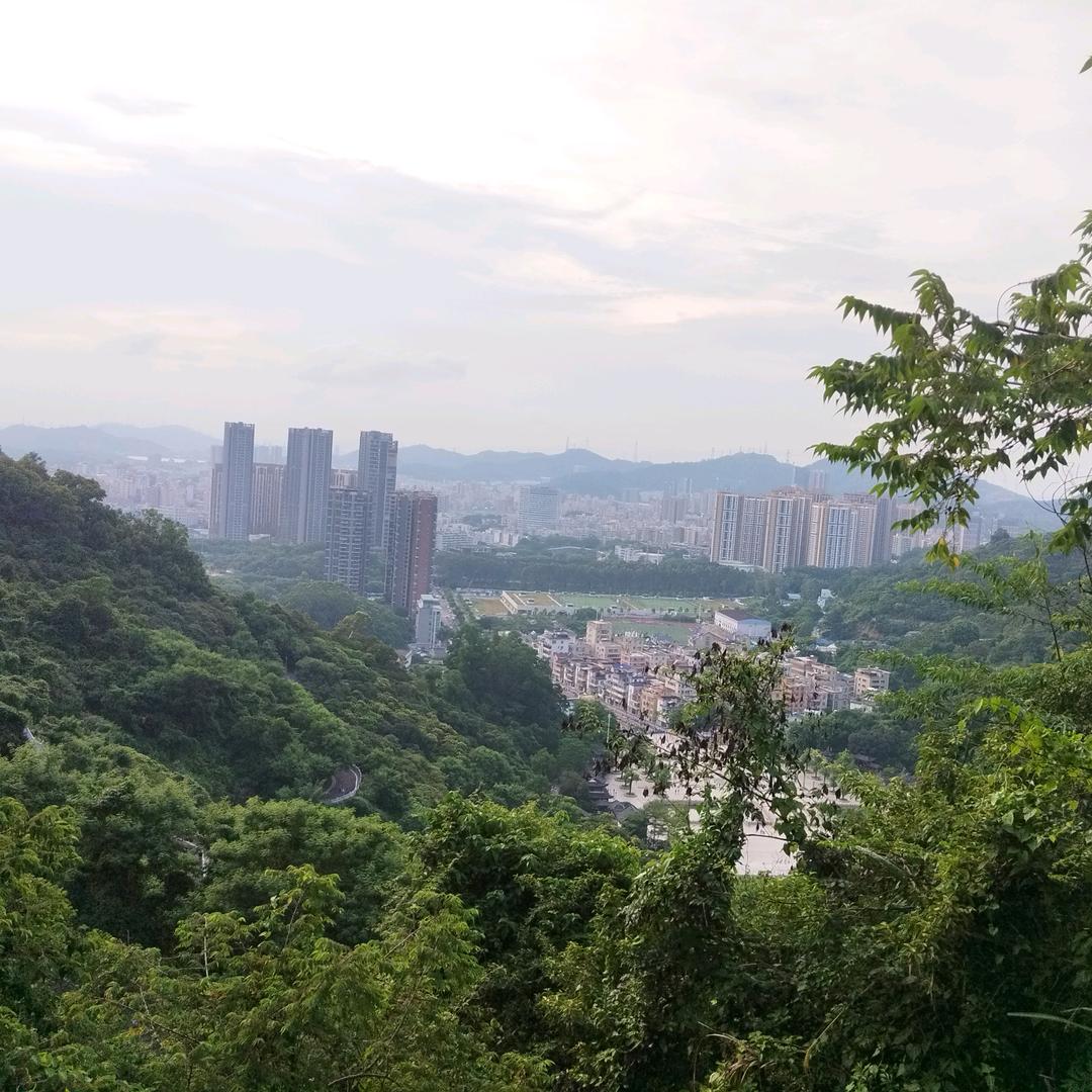 霧中尋光～落子无悔