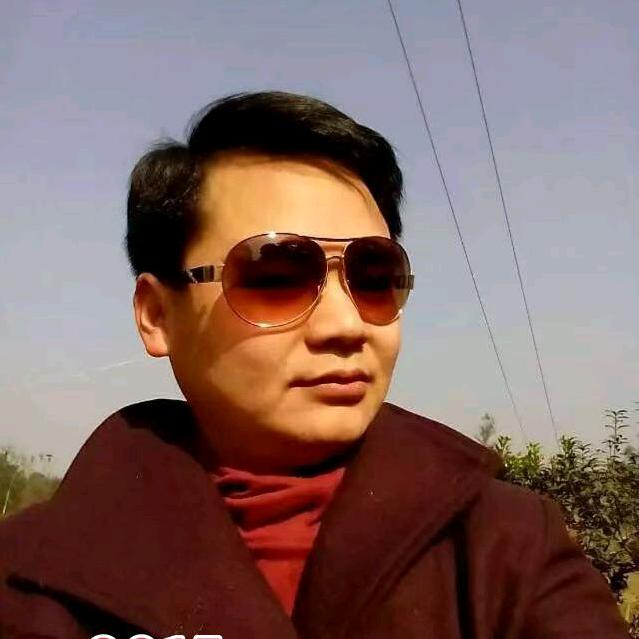 朱朱爱贴砖
