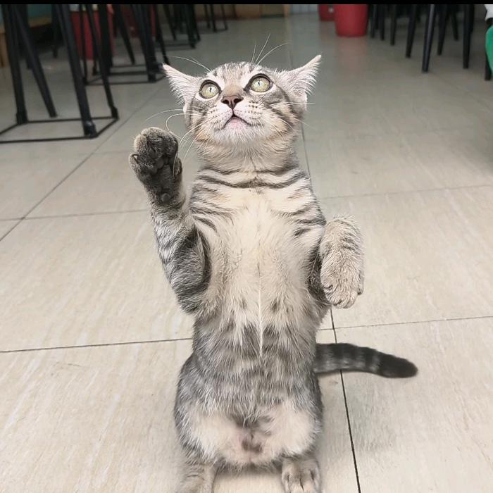 禅修