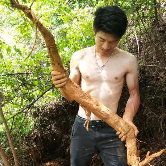 专业炮头销售维修及配件