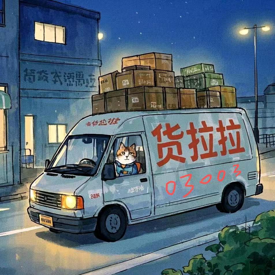 货运03003