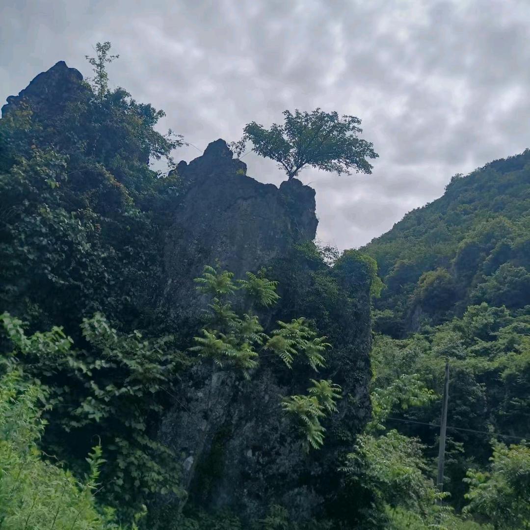 蓝柚子啊海，茨冲小分子团豆腐坊。