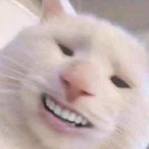 emo罗
