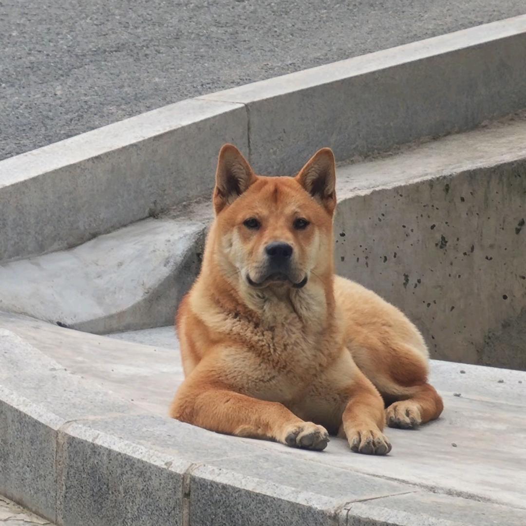 长成自己讨厌的样子