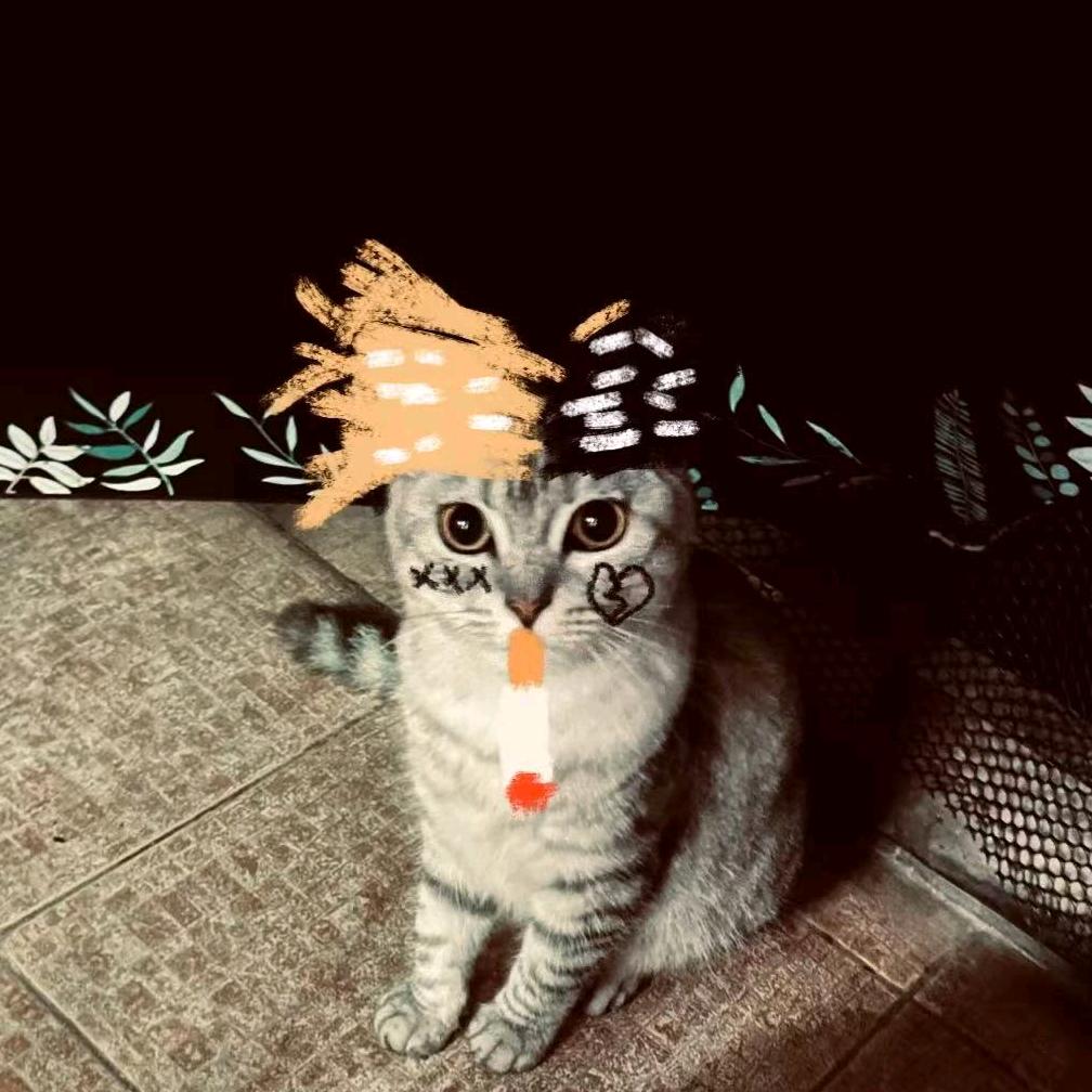 🌈🌈开心小灰🐱🧝‍♀️🧚‍♀️头像