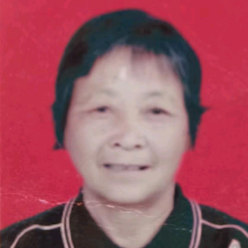 坤坤奶奶（首播筹备中）