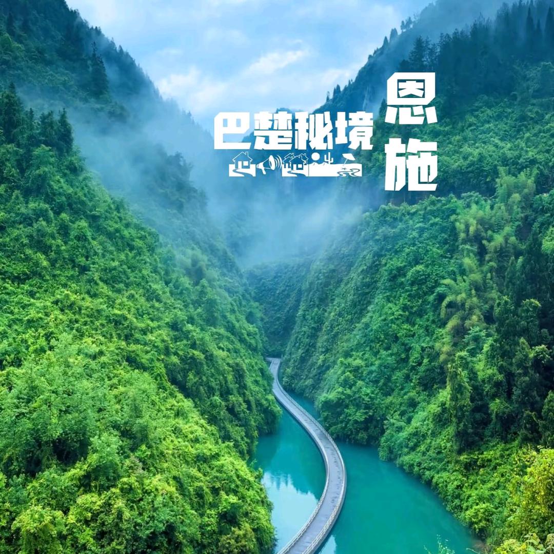 仕伟豪咨询