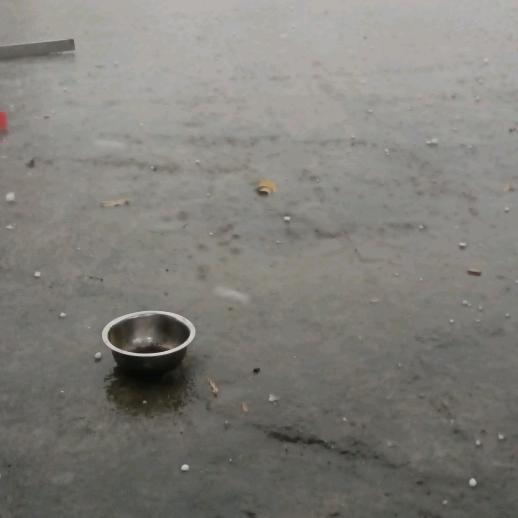 无泪