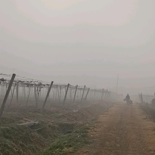 嘉彩LED面罩喷油加工