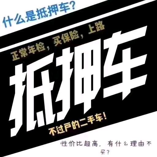 林哥玩车
