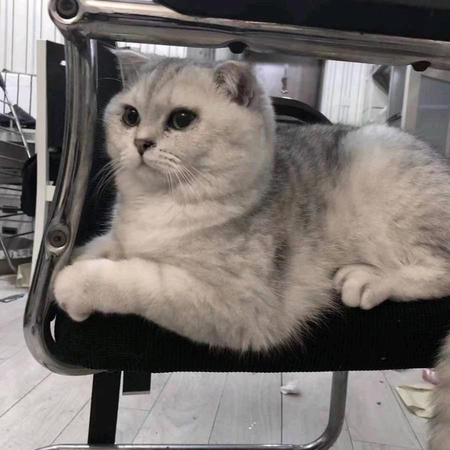 小杰
