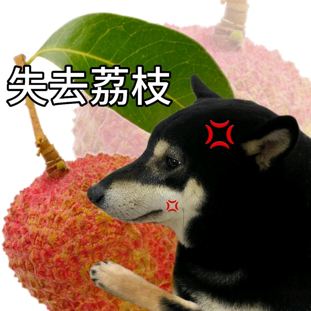 東子