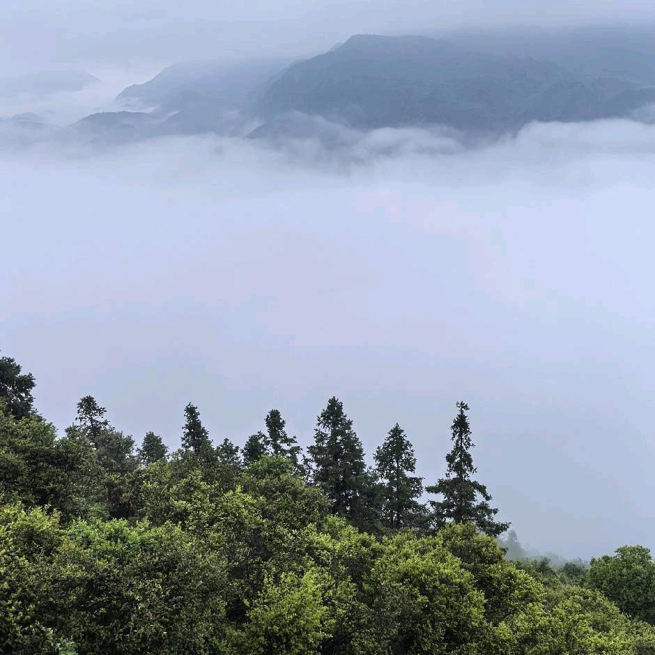 黄芪小筑