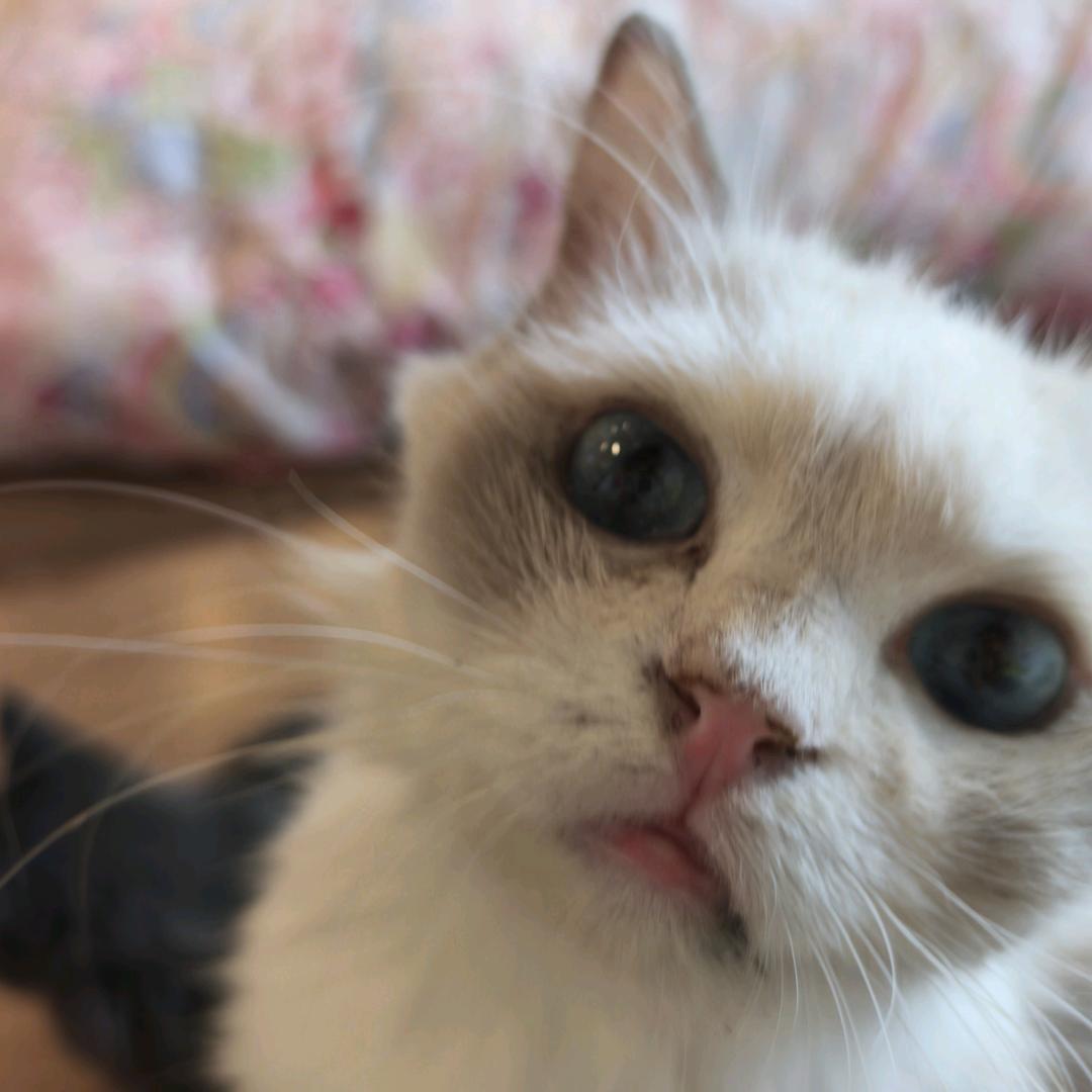 释林-