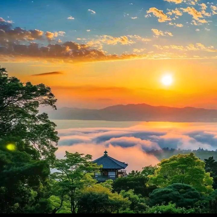 雷老六