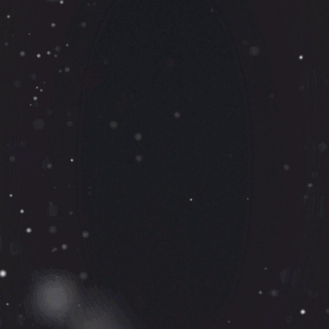 客